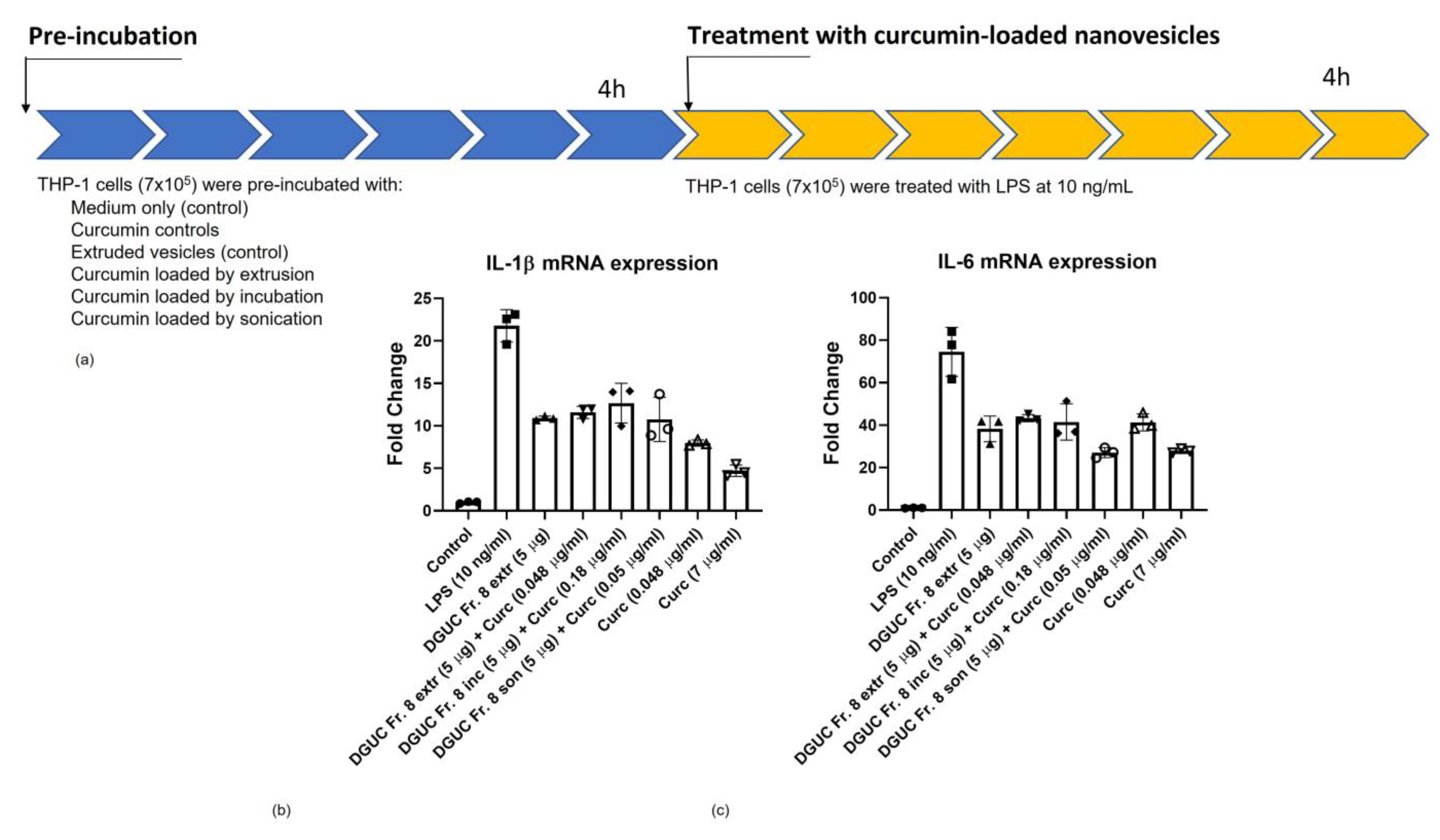 Anti-inflammatory effects of tomato vesicles with curcumin.